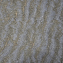 2017-03 New Zealand/Auckland Centenial Park/DSC_0018.JPG